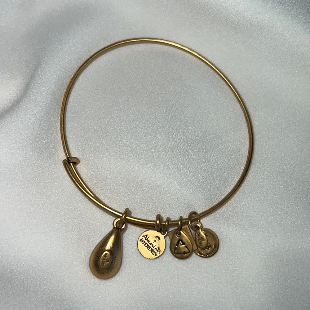 Alex and Ani Living Water Droplet Bangle 3 for $20